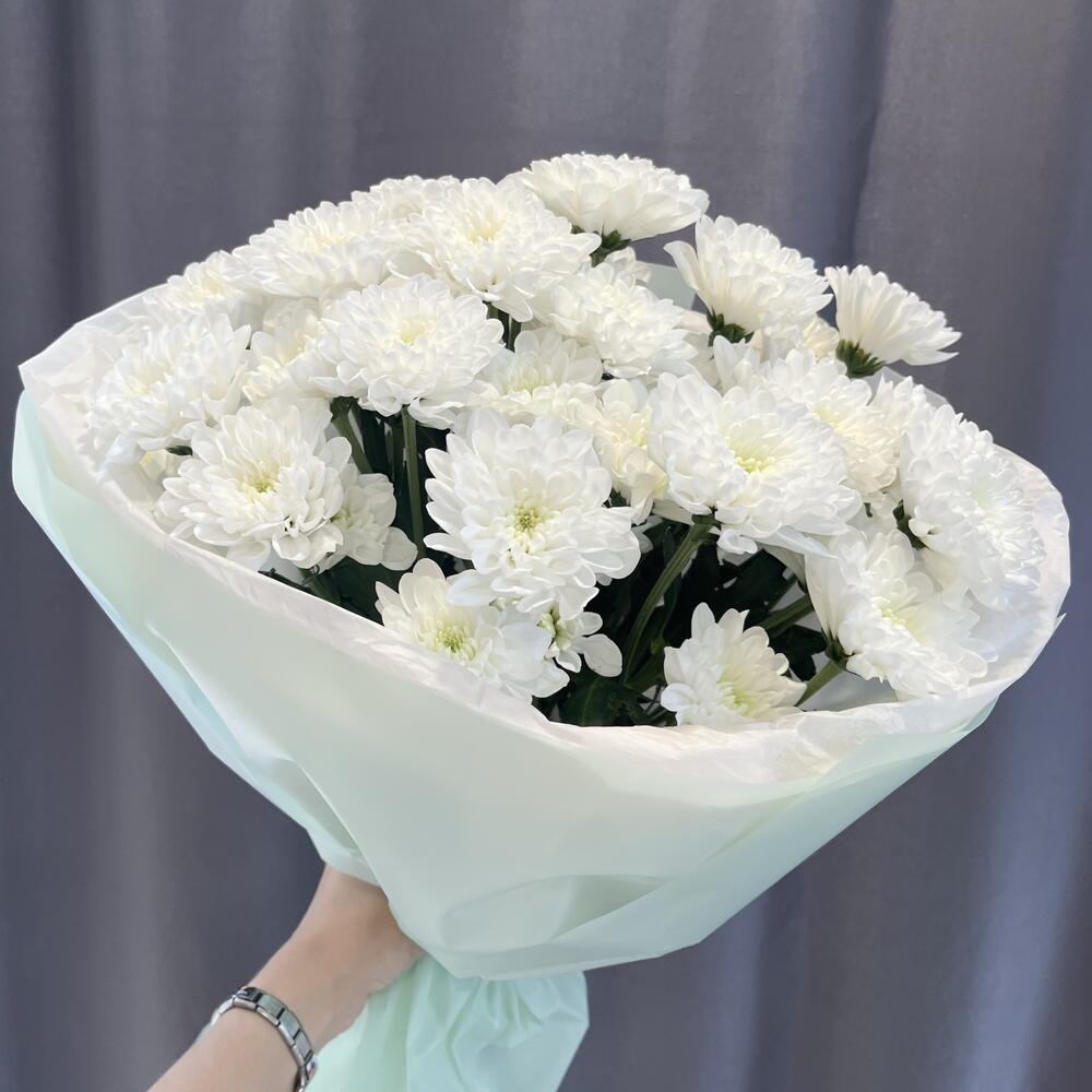 5 кустовых хризантем