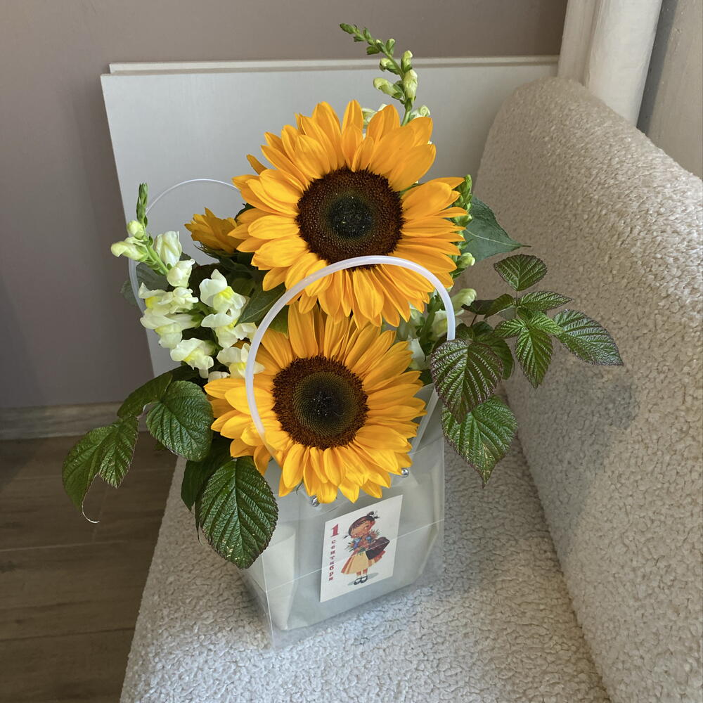 Подсолнухи 🌻