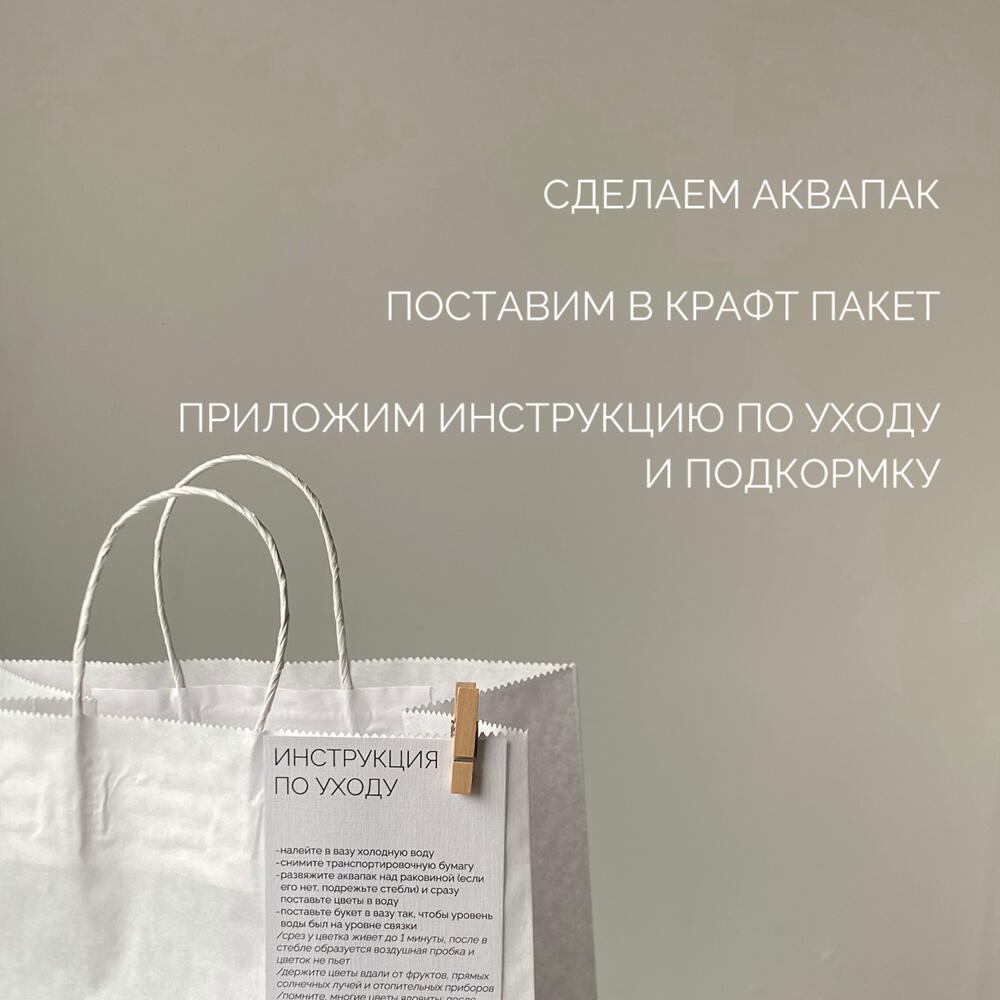 Букет-комплимент: игольчатая гербера, молюцелла и колокольчики