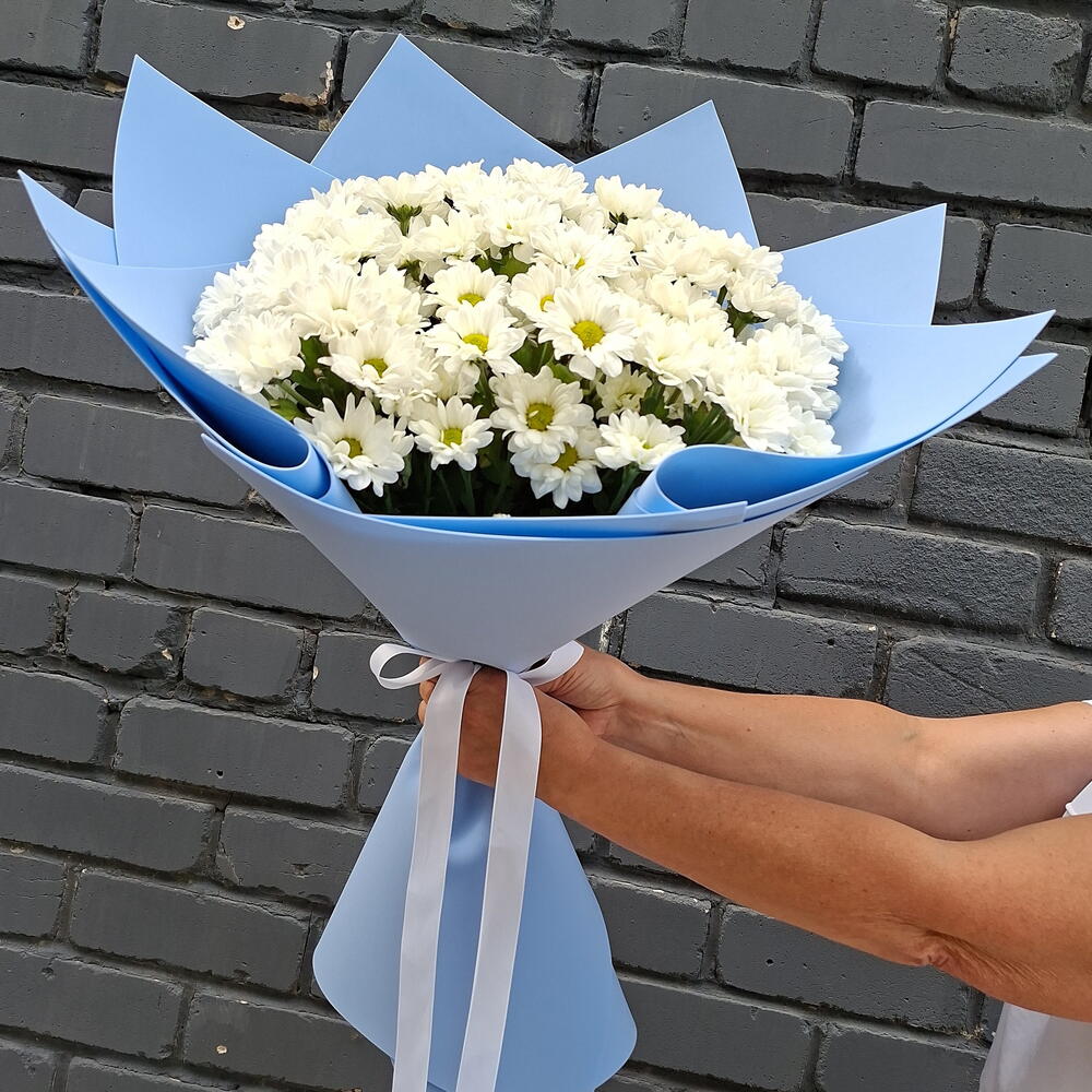 Ромашки в голубом