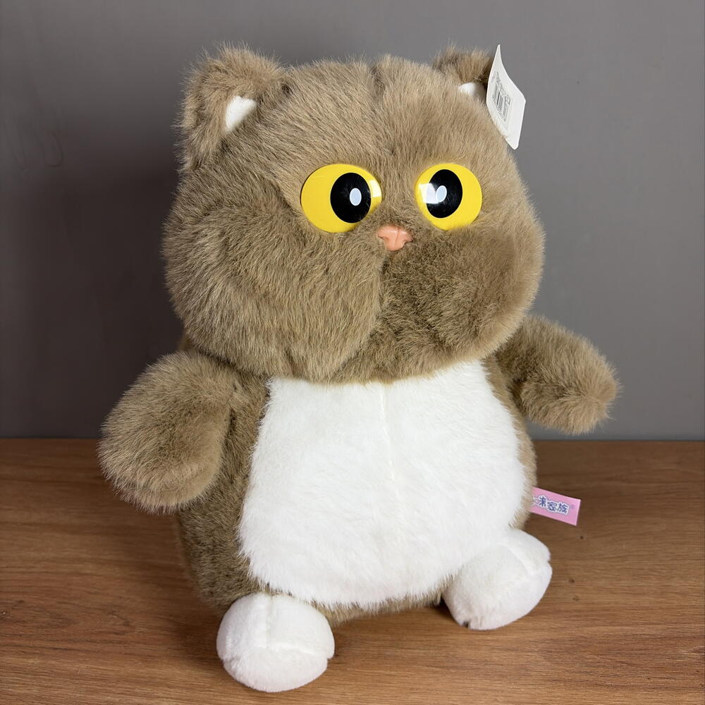 Кот с большими глазами