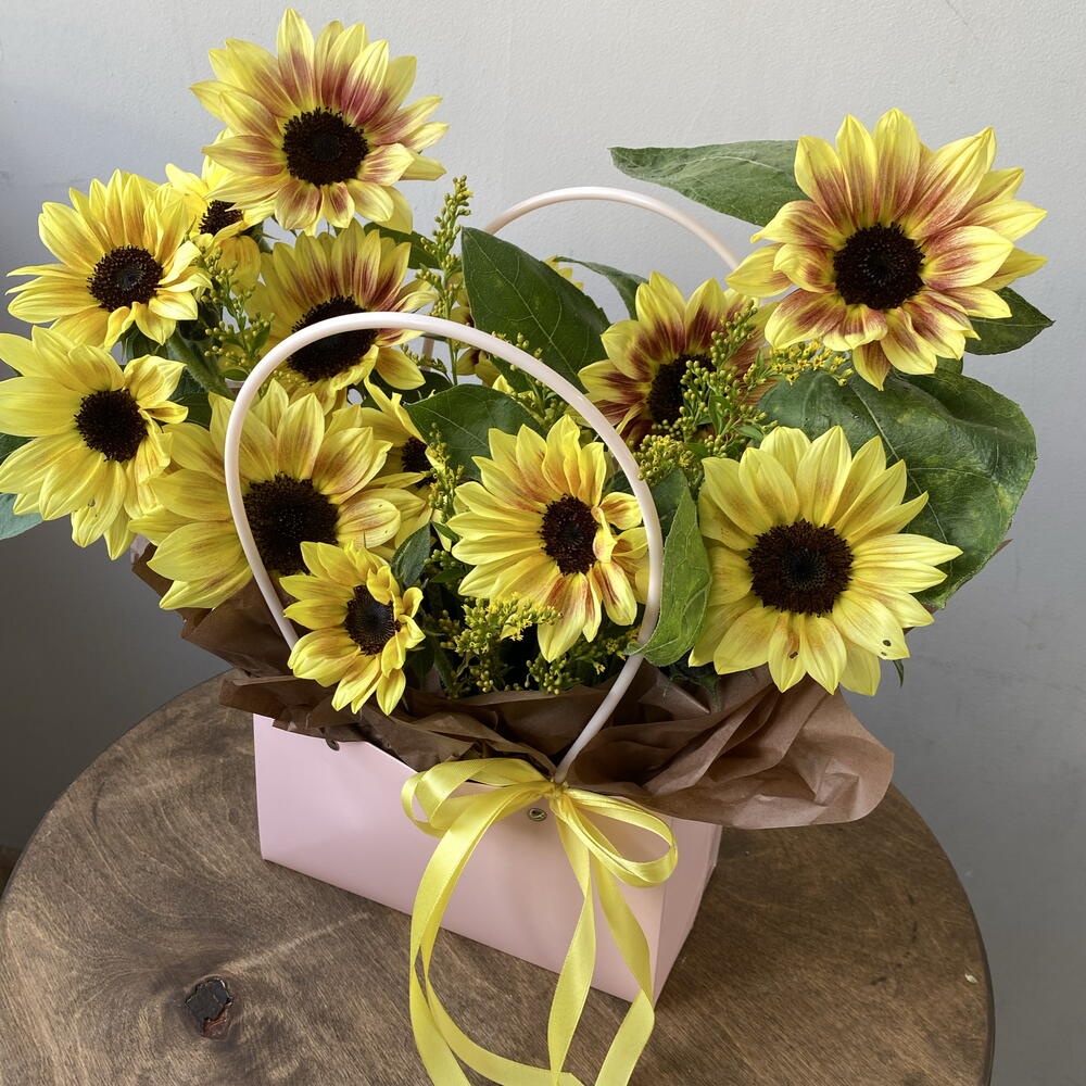 Солнечные подсолнухи 🌻