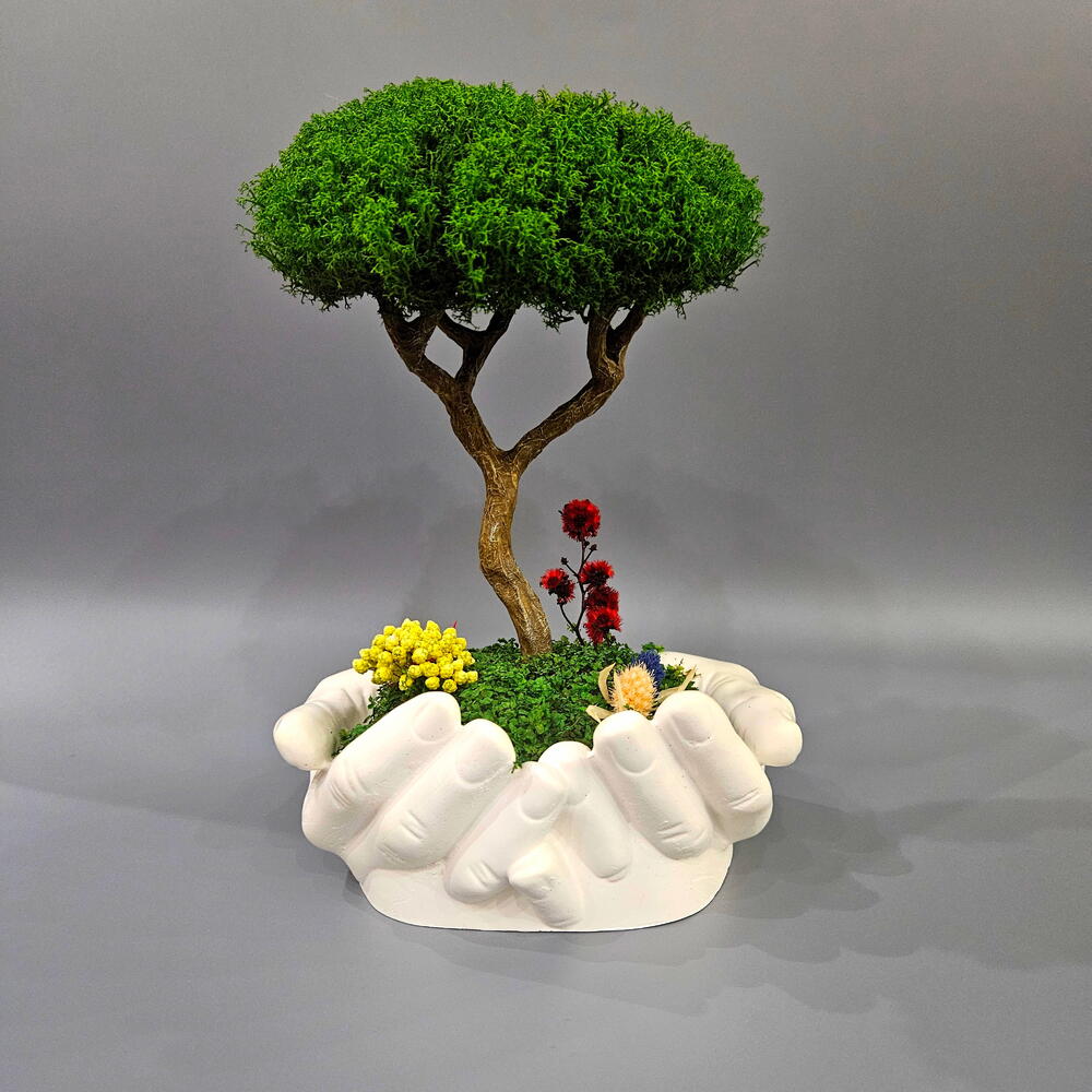Árbol en la palma