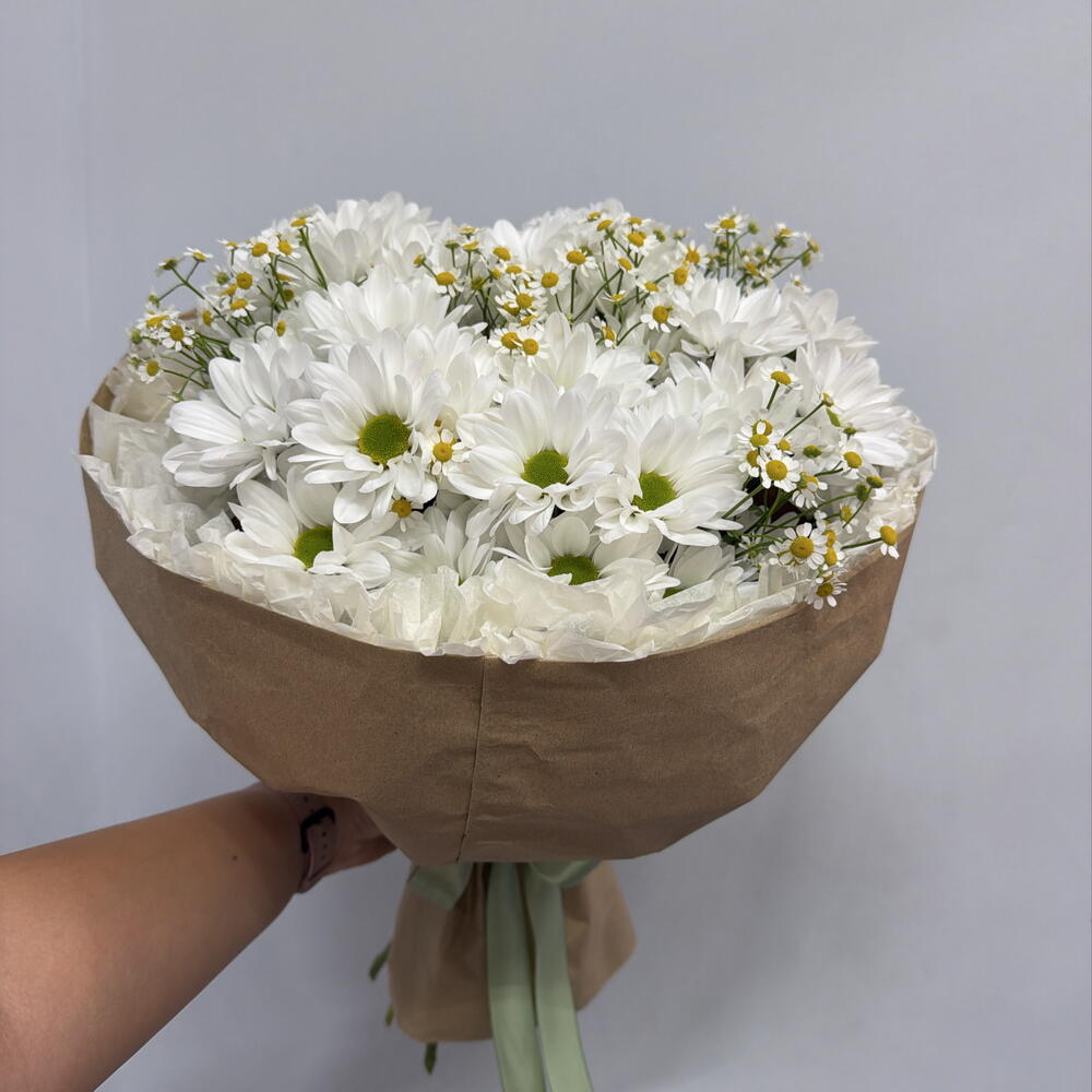 Ромашки