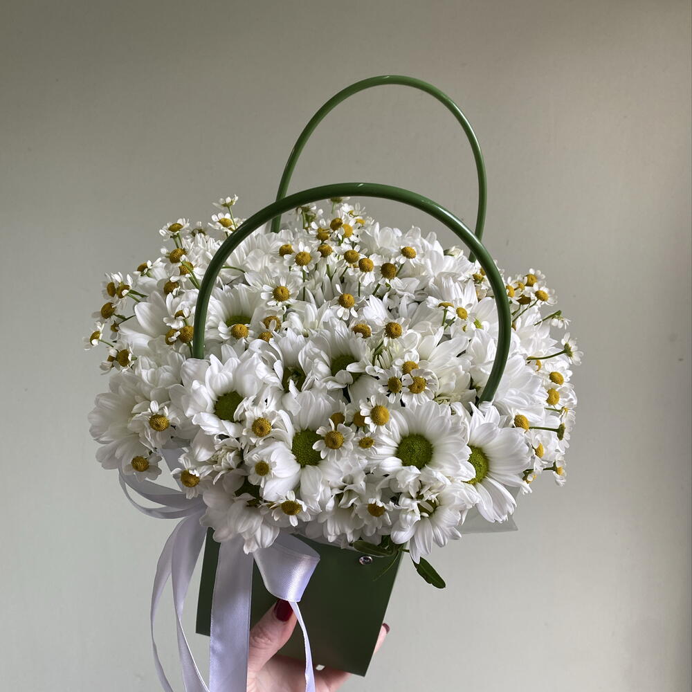 Ромашки