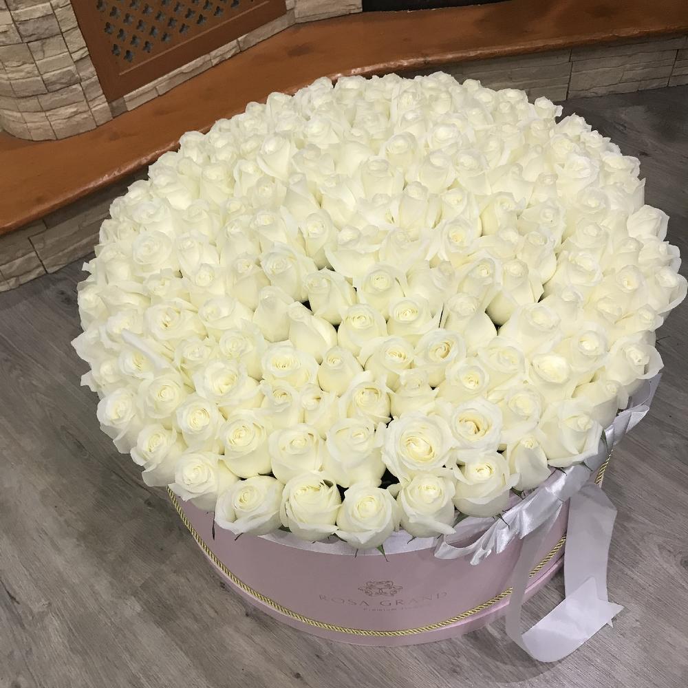 XXL До 215 роз