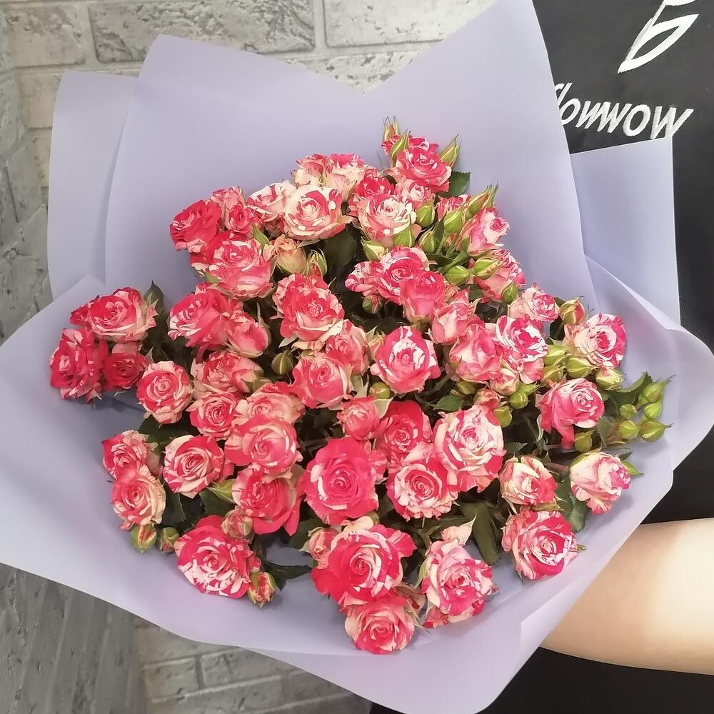 Акварель🌹