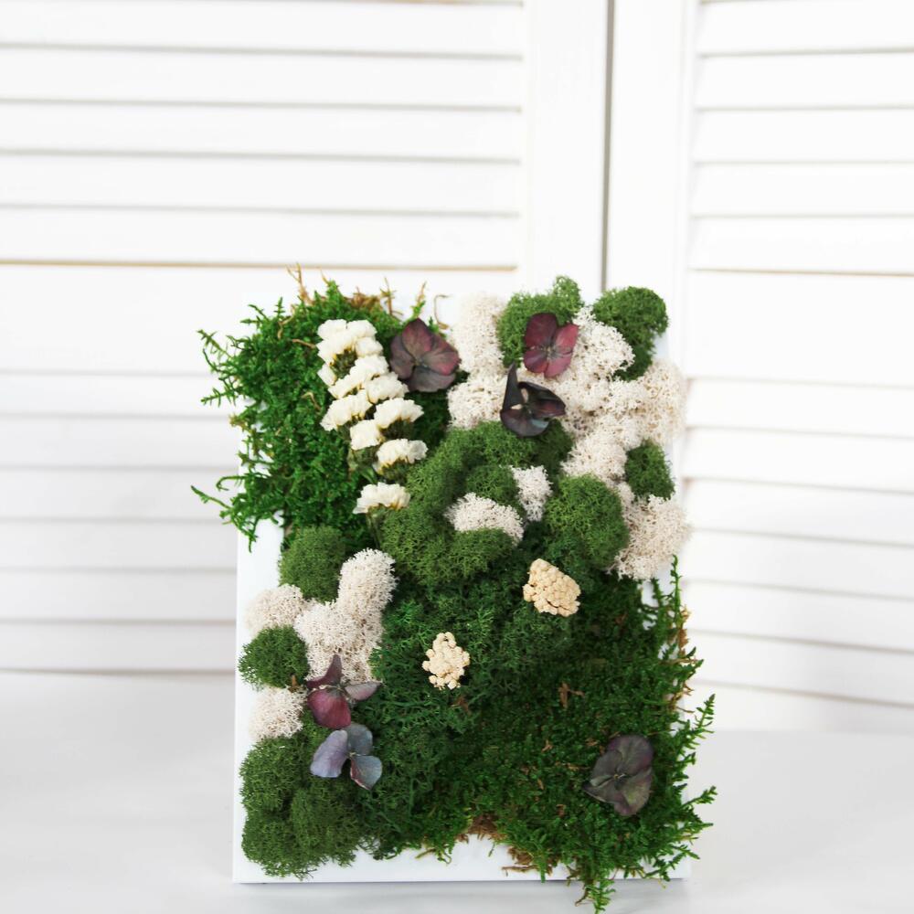 Фитокартина "Butterfly", Live Plants Yekaterinburg, buy at a price of