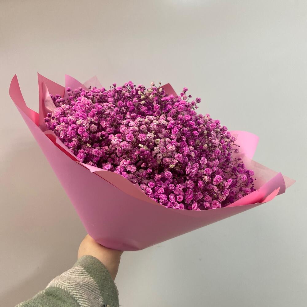 Ramo de gypsophila