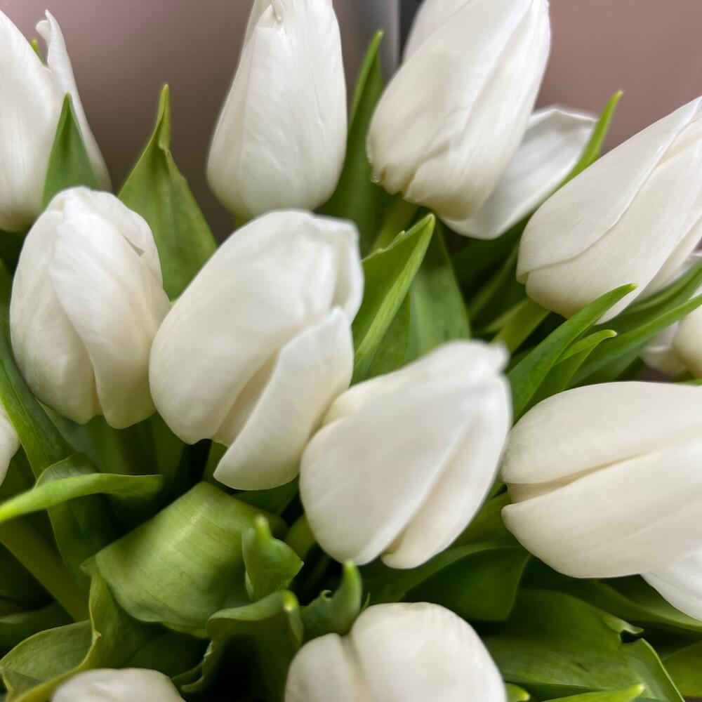 St bouquet 22 из 25 белых тюльпанов
