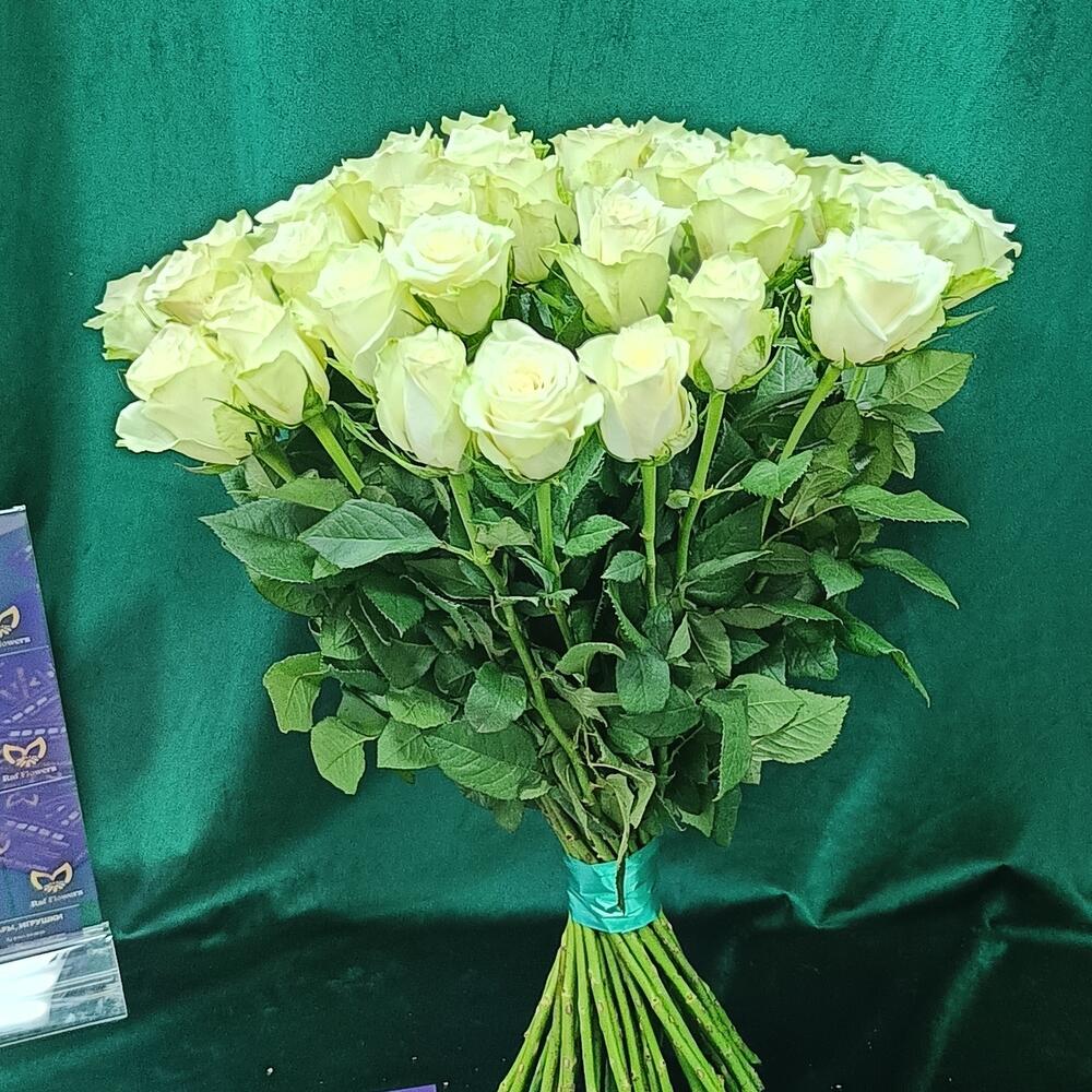 Роза