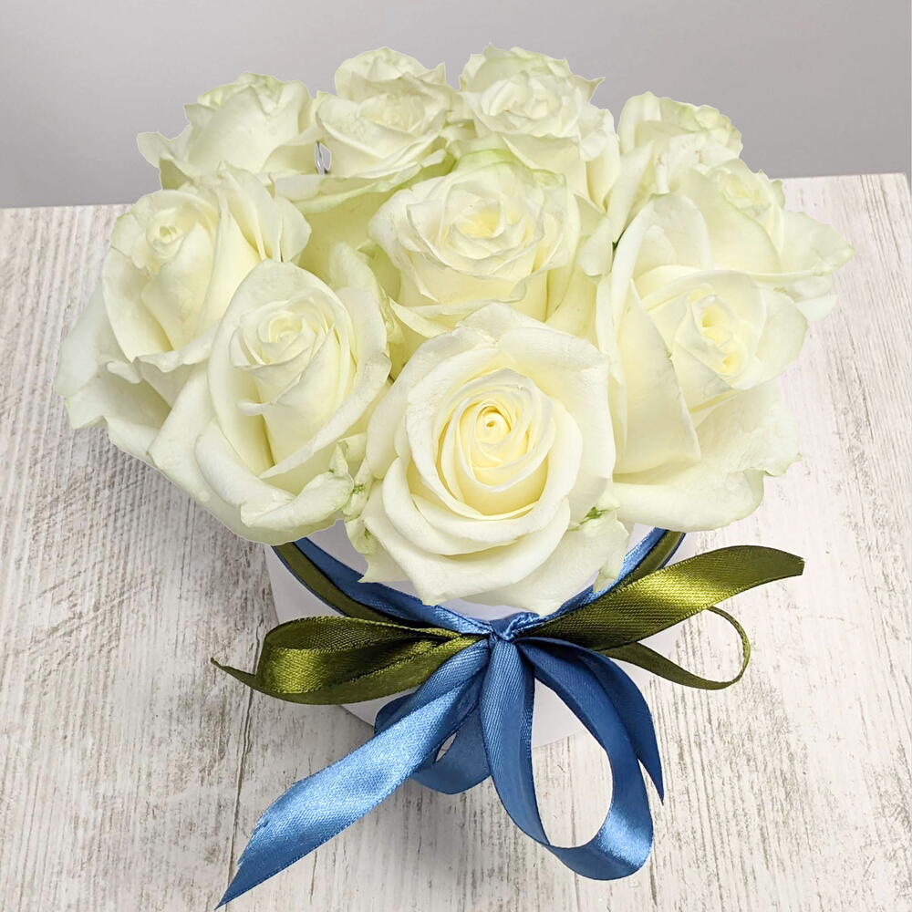 White rose in a box