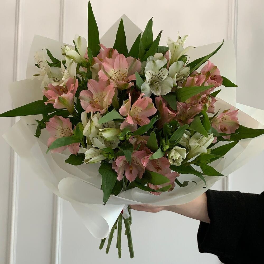 Стойкая альстромерия МОНО 💌