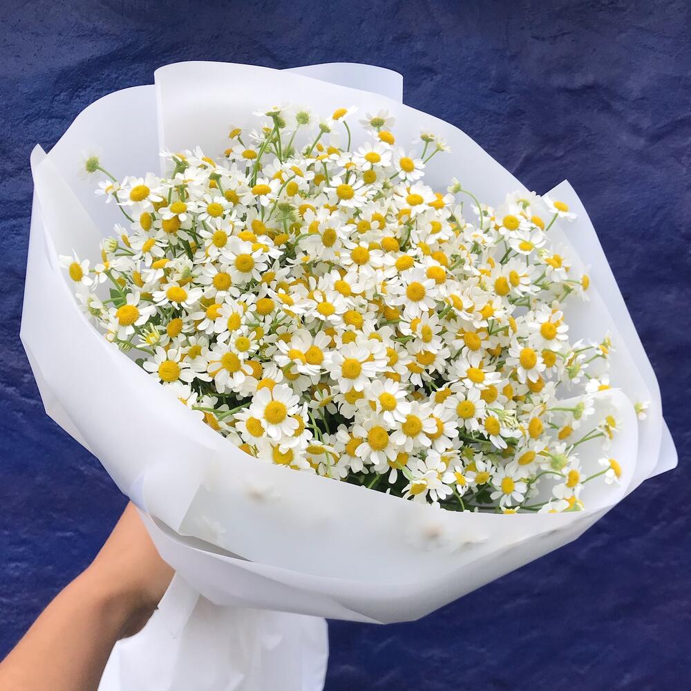 Ромашки 15 шт