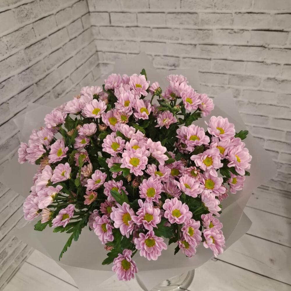 Розовая дымка