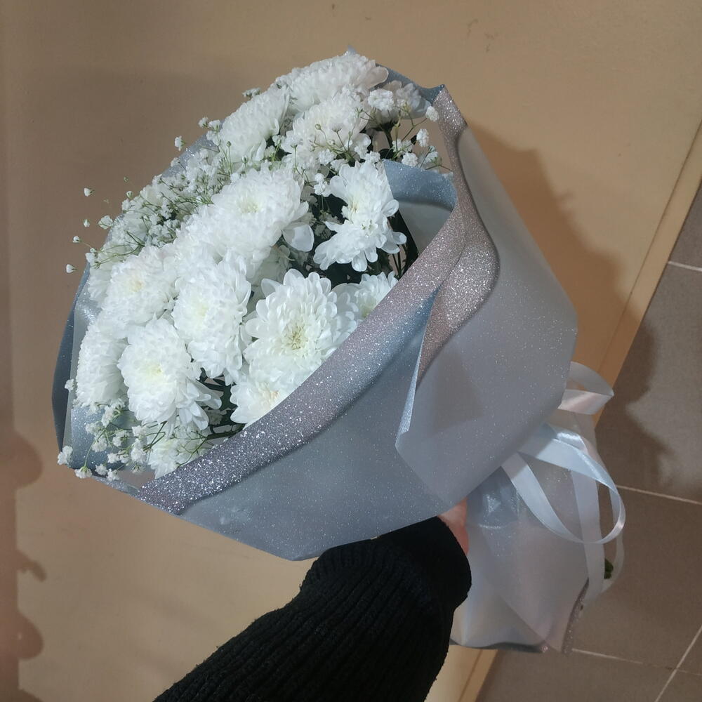 Зимний сад