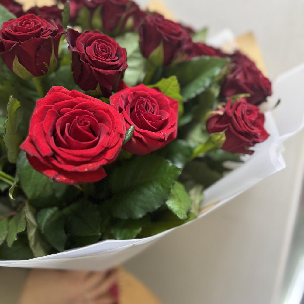 Кон аморе 29 + секатор в подарок