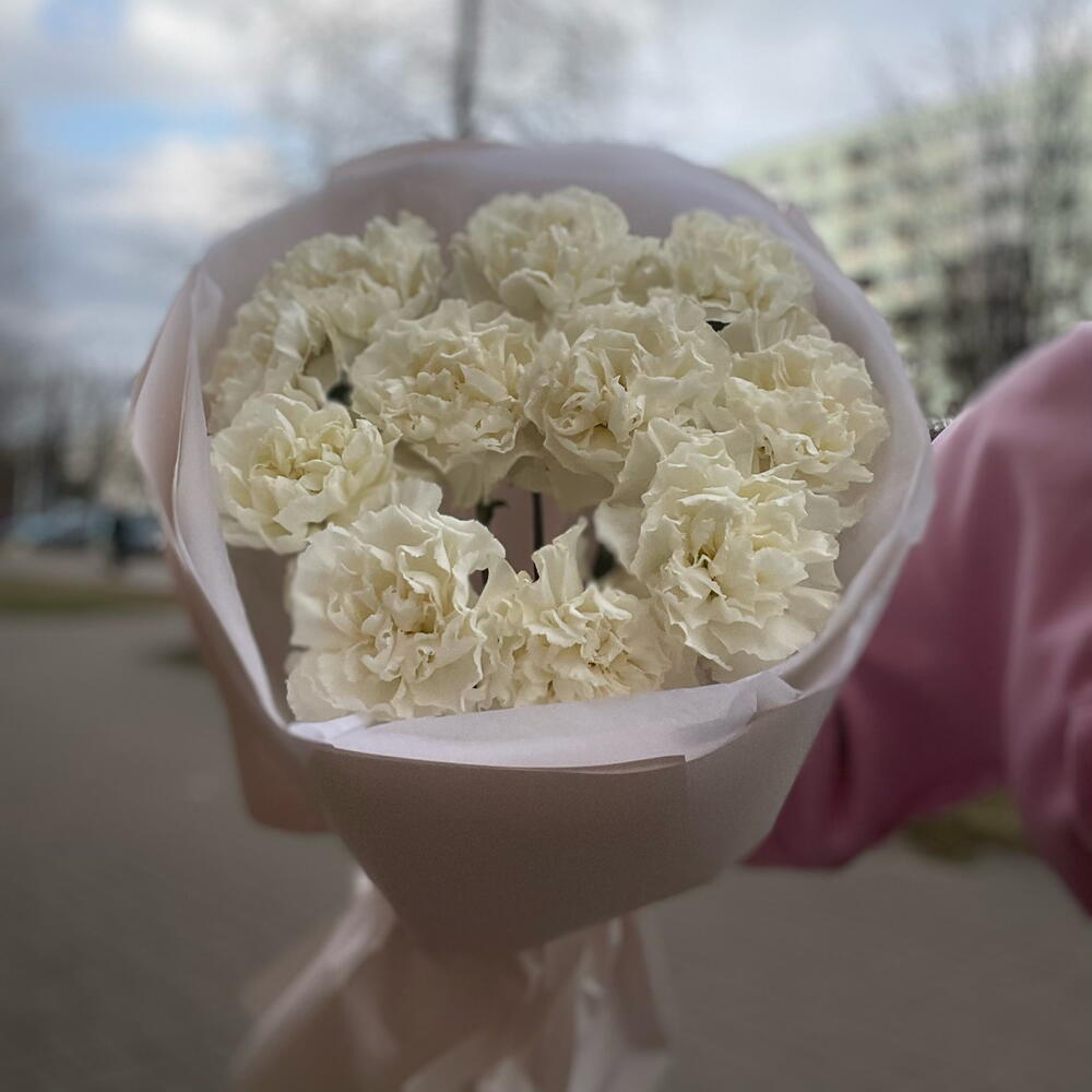 Белые диантусы