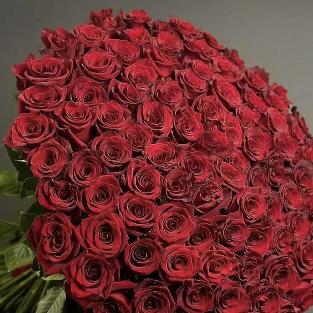 101 Голландская Роза 🌹