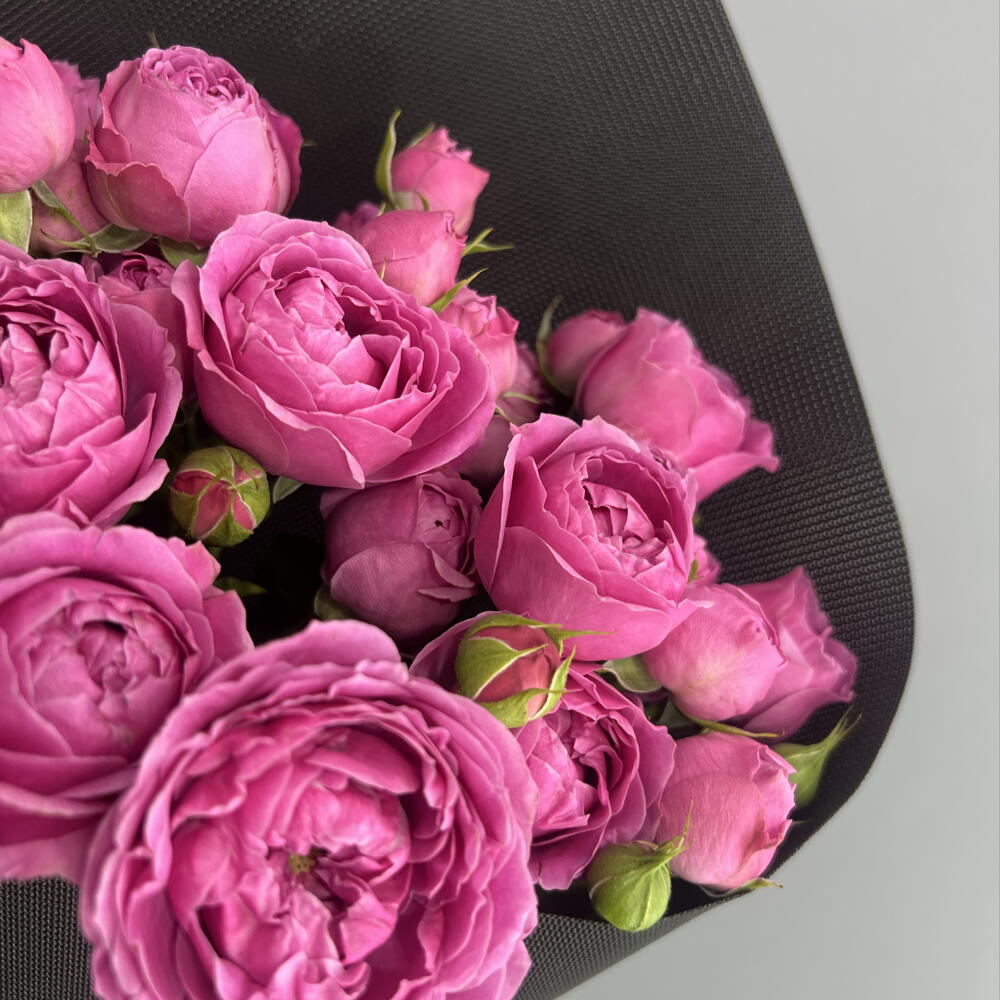 Монобукет кустовая пионовидная Роза Мисти Баблс💕💕💕