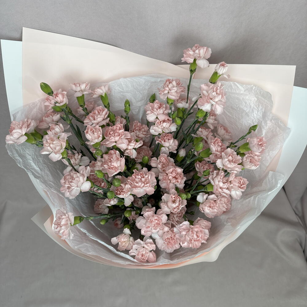 Розовые кустовые диантусы🥰🌸