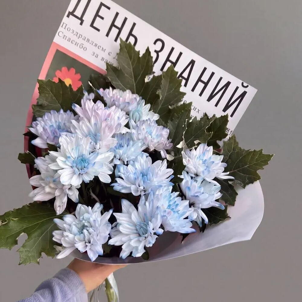 1 СЕНТЯБРЯ 843 / хризантема, сезонная зелень