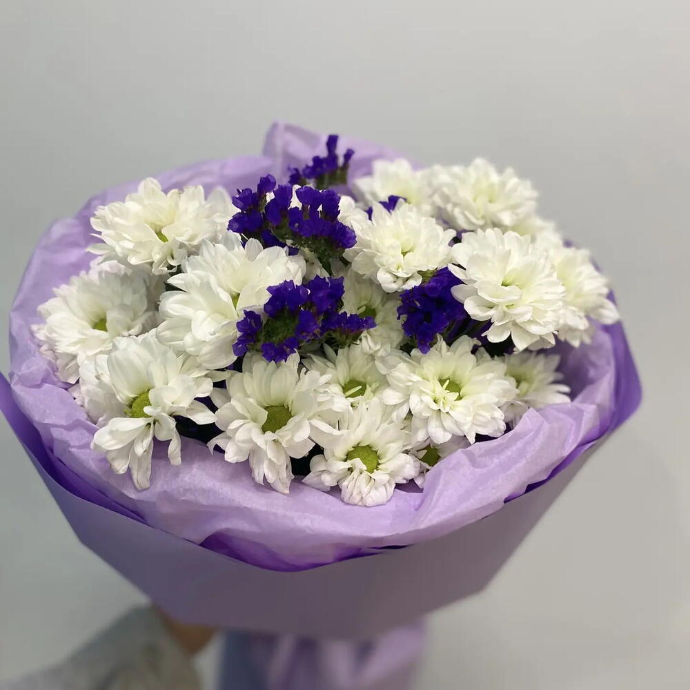 Хризантема и статица💜