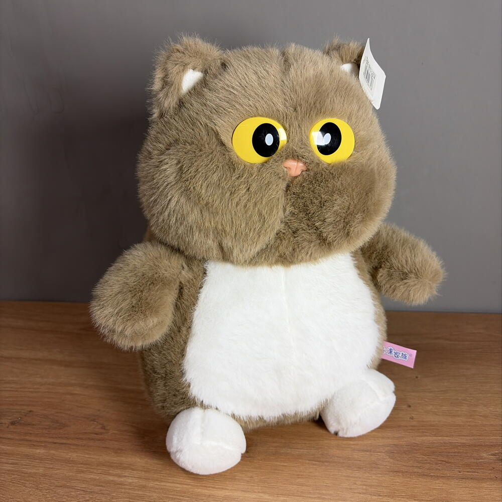 Кот с большими глазами