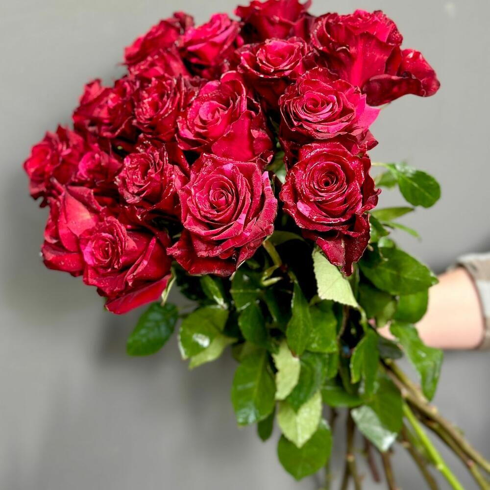 Ред пантер 25 шт