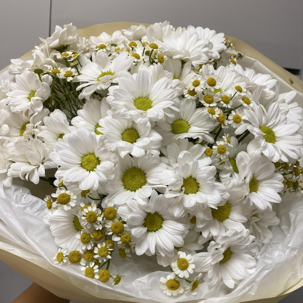 Букет «Ромашки»