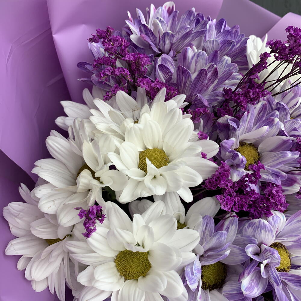 Ромашки фиолетовые 💜
