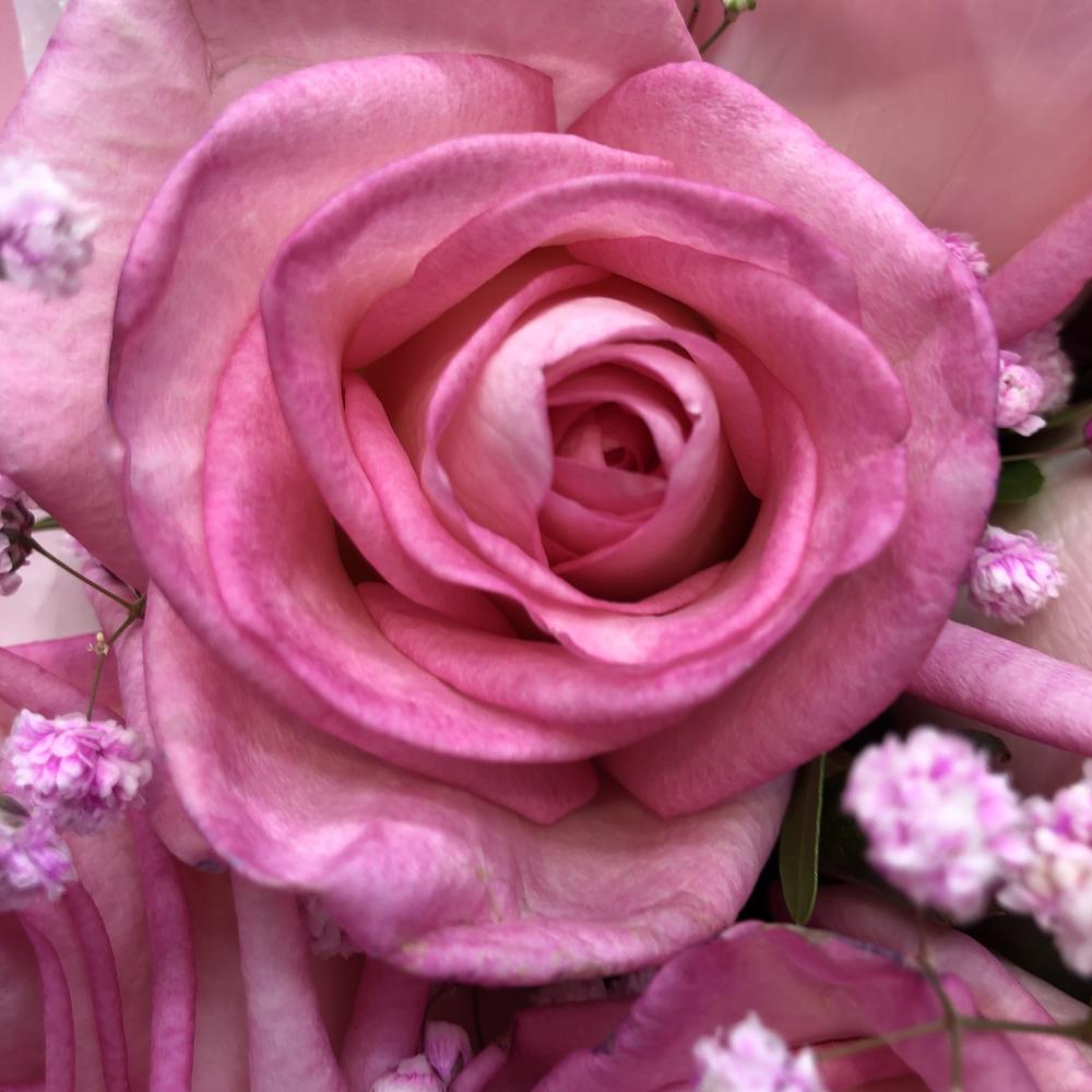 Softness