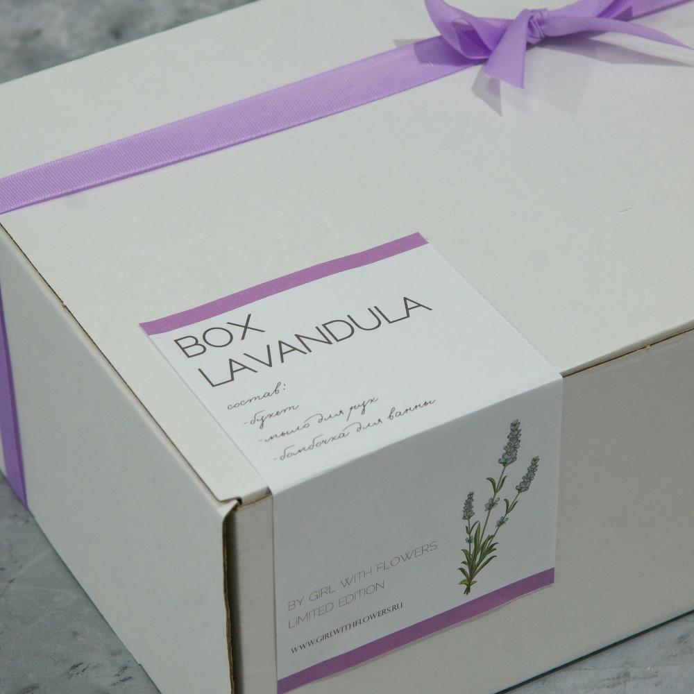 BOX "LAVANDULA" S