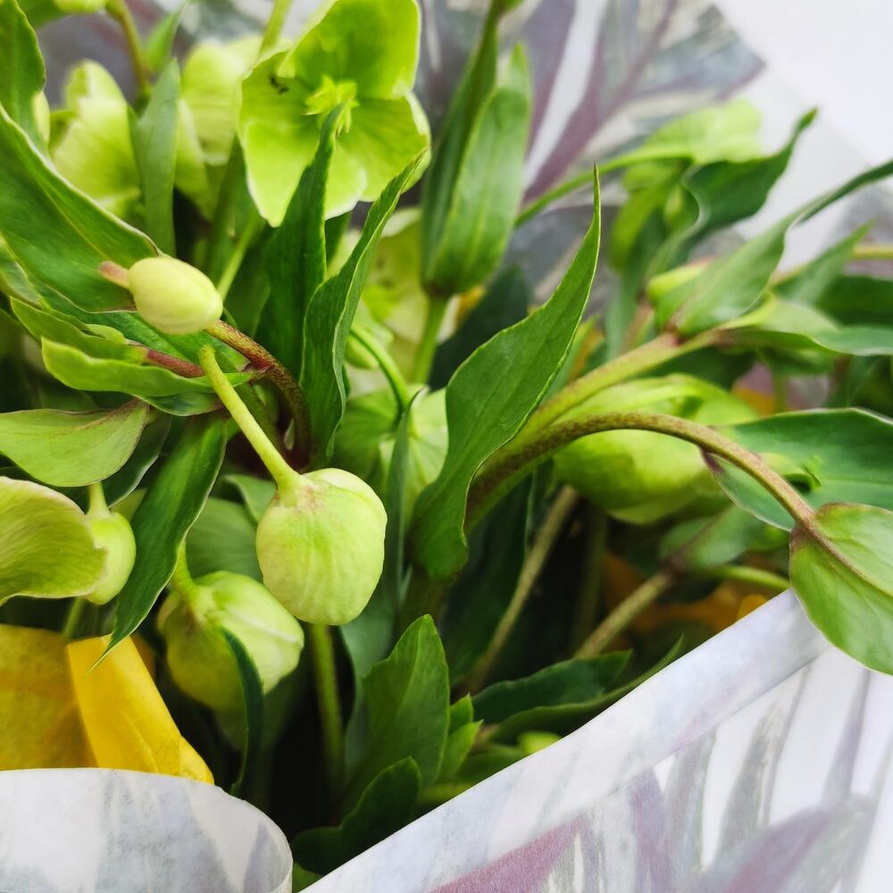 Bouquet " Magic of Nature"