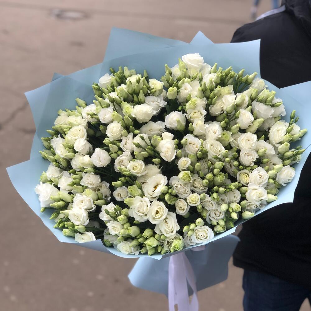Эустома Белая