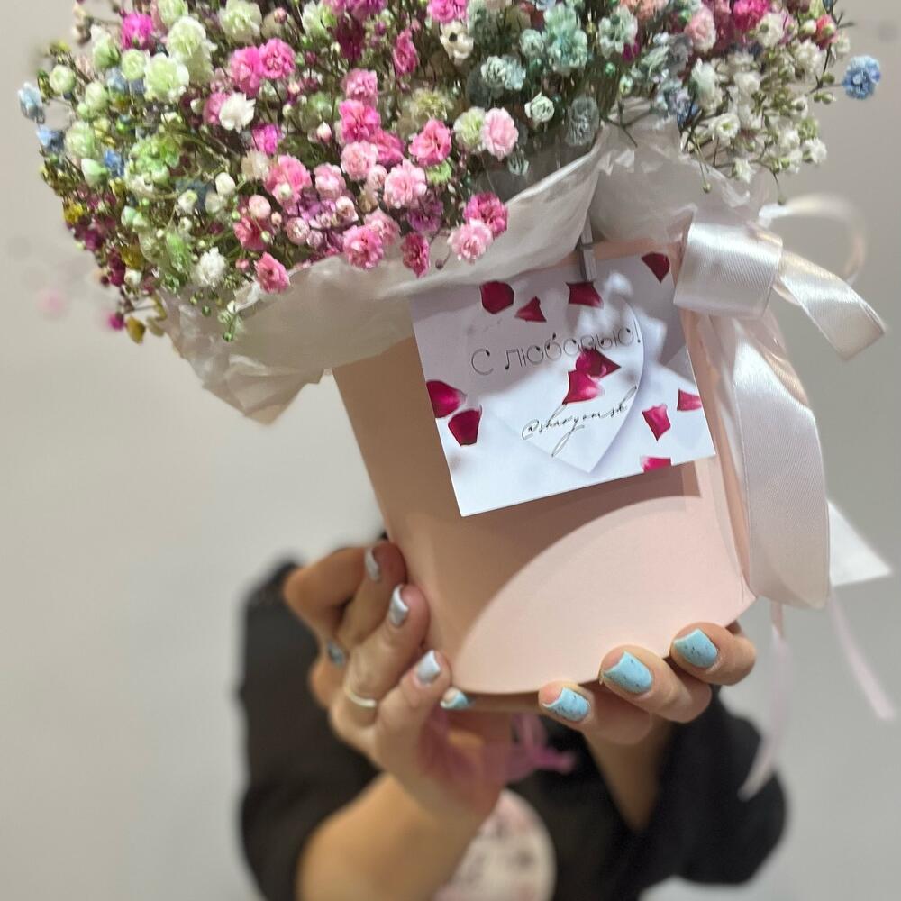 Gypsophila en Caja