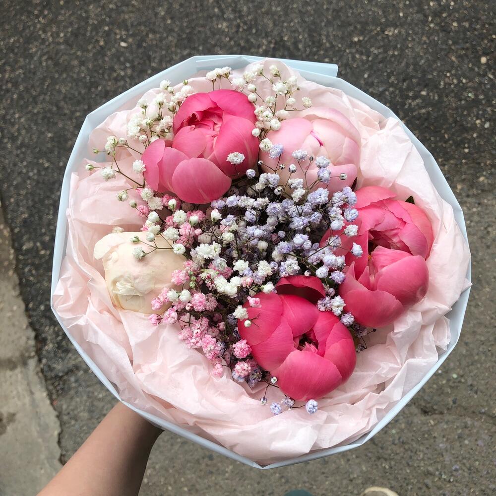 Bouquet of peonies