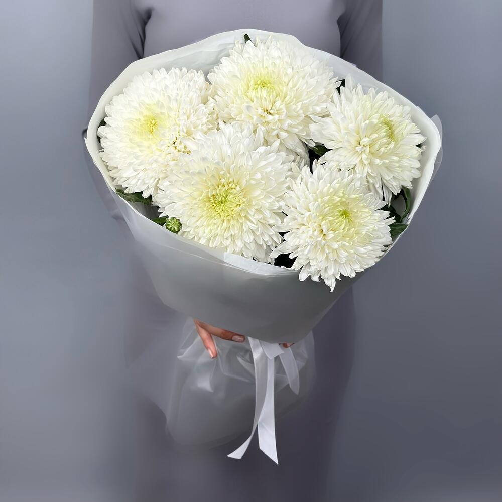Букет одноголовых хризантем Магнум, 5шт. (М009)