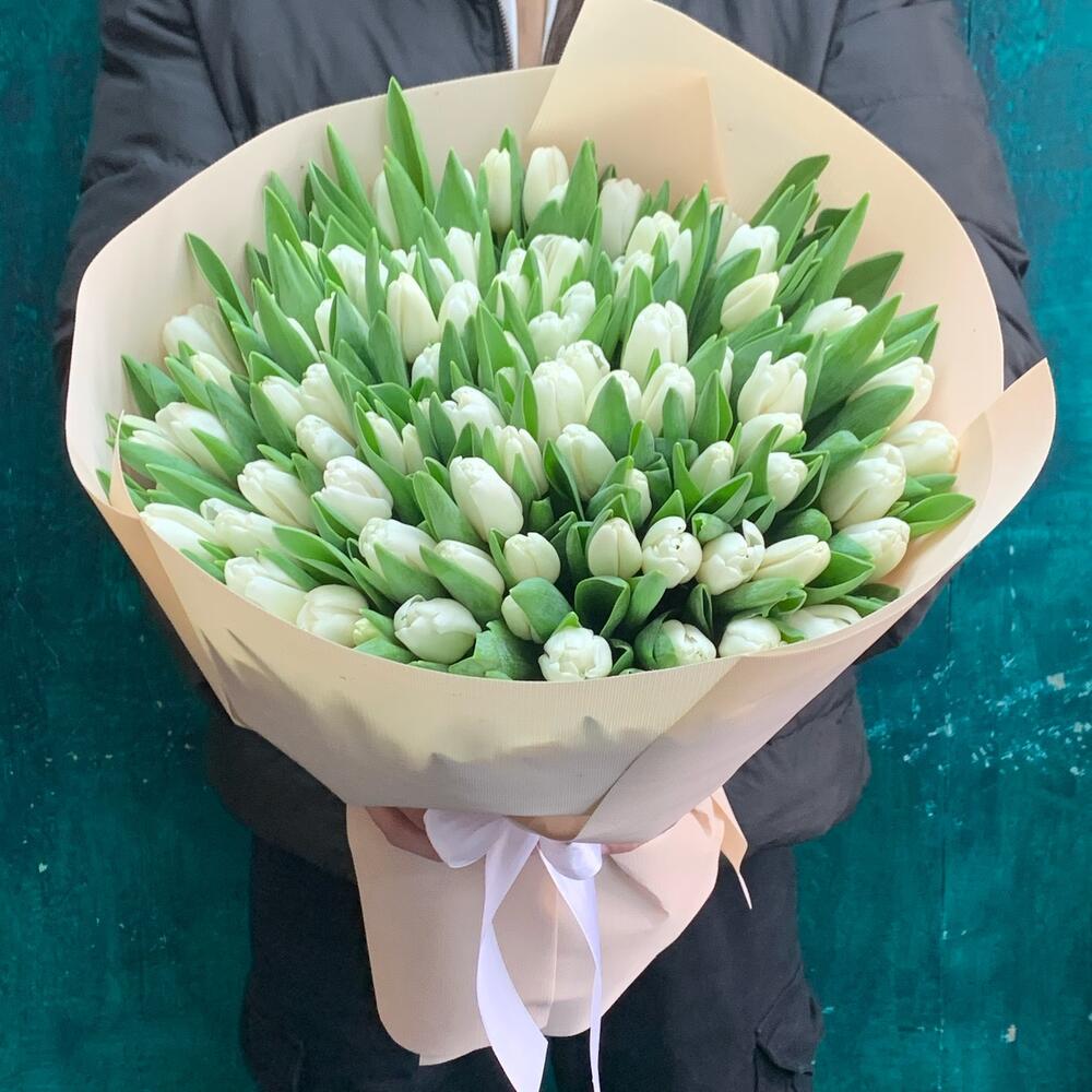 101 tulipanes blancos