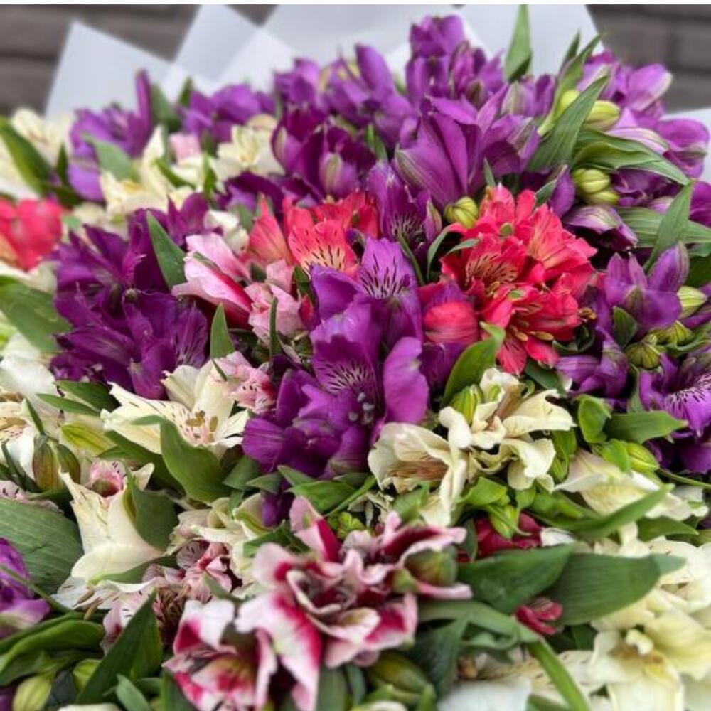 Bouquet di luminoso Alstroemeria 61sh
