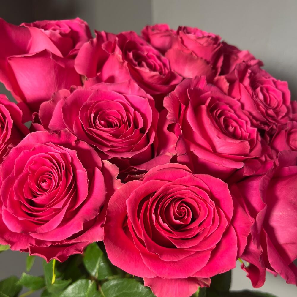 🌹 13 премиальных роз эквадор