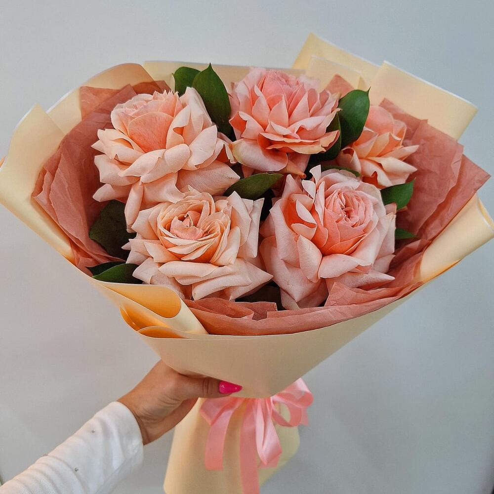 Softness