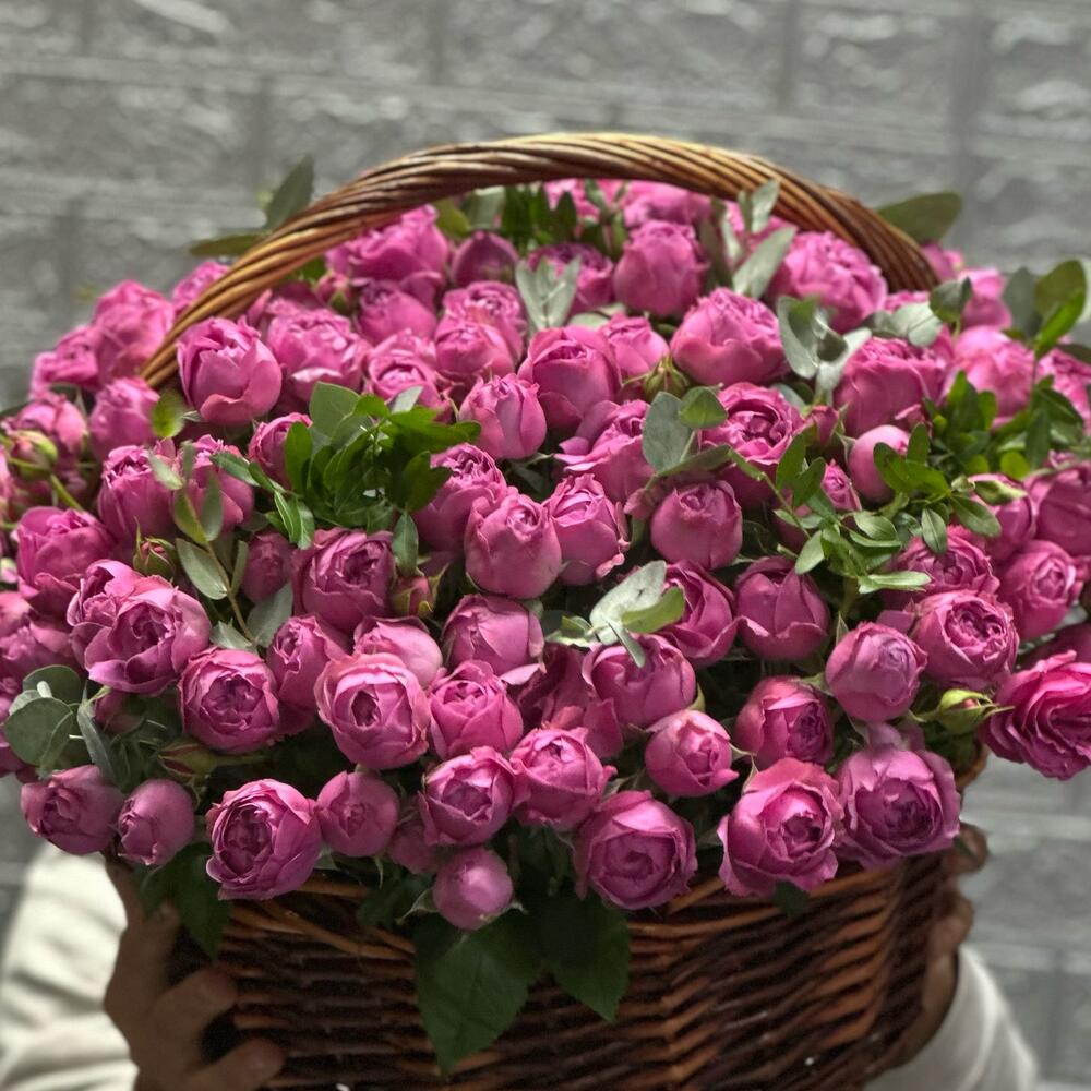 Misty Bubbles