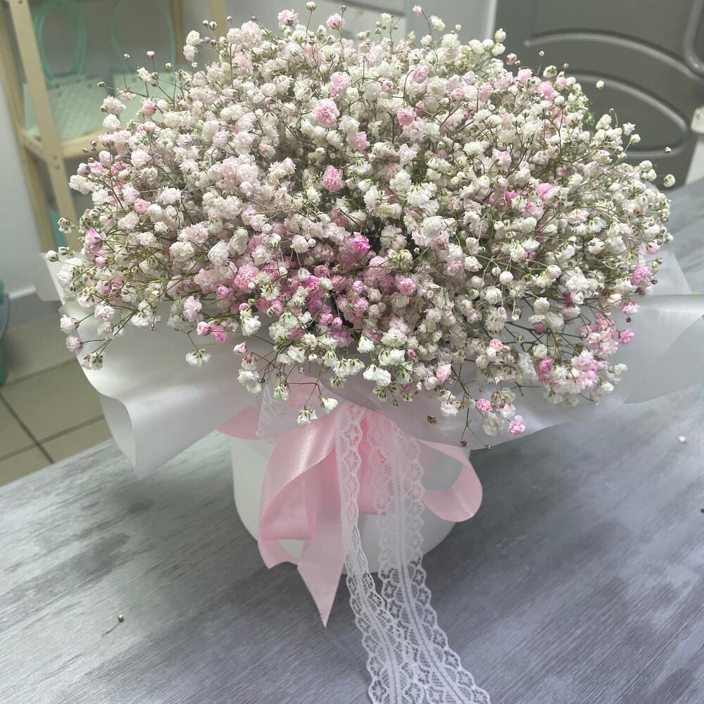 The Gypsophila cloud