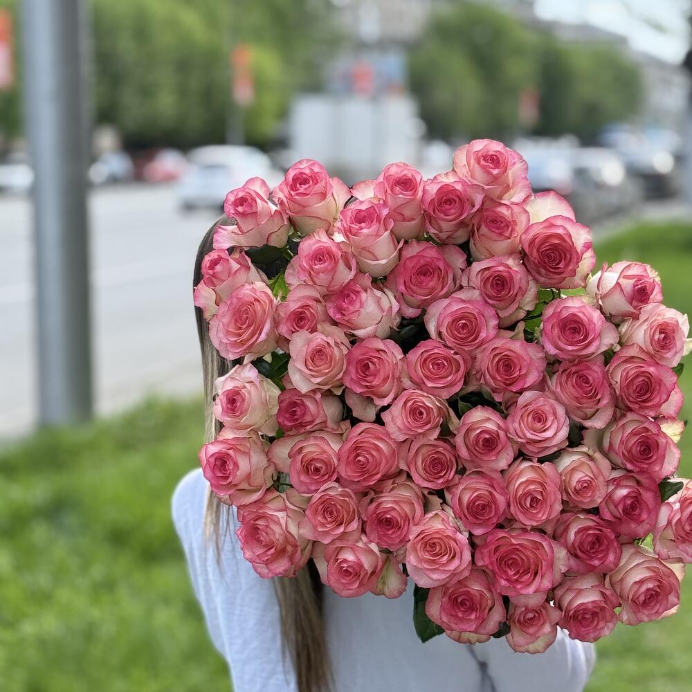 Роза Джумилия 51шт