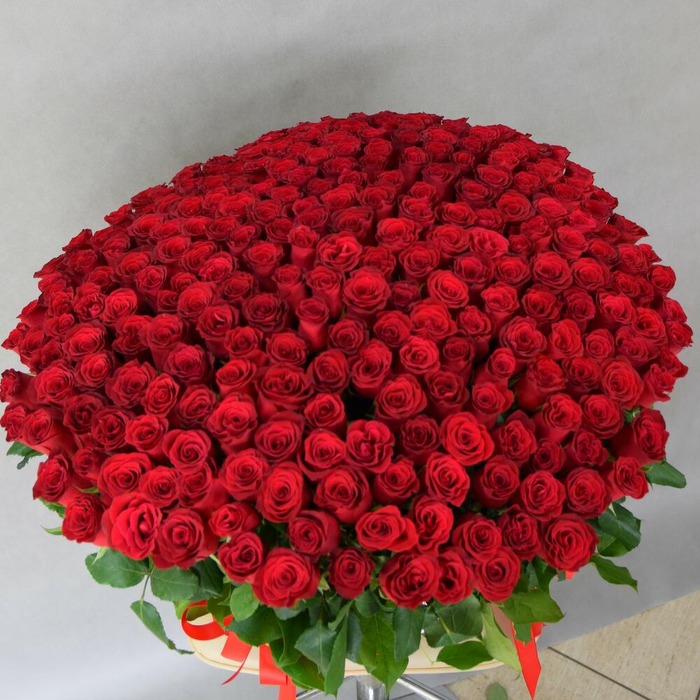 Корзина из 251 кенийской розы