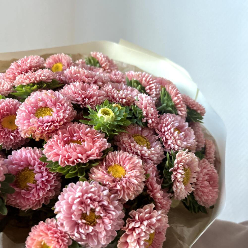 Сезонные астры 💐