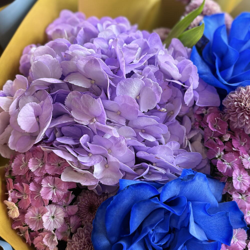 Blue Rose