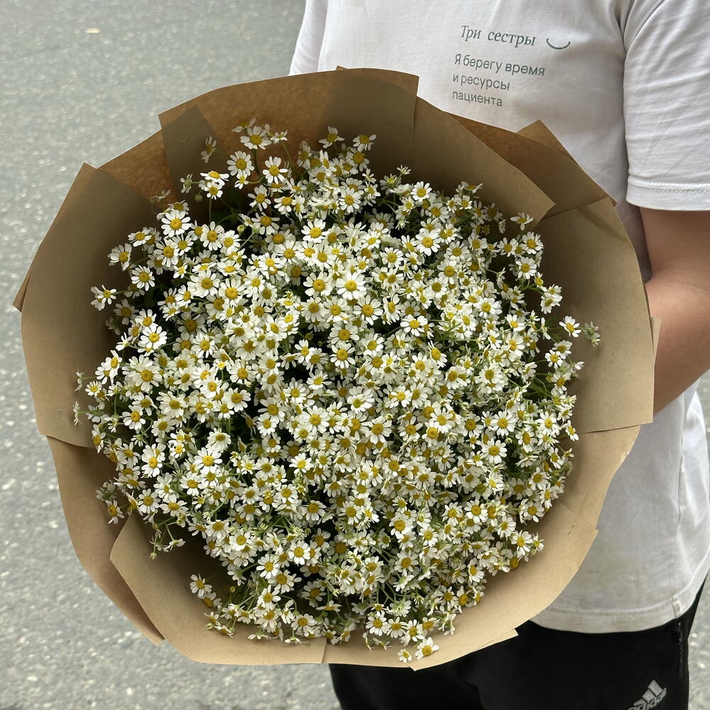 Букет ромашек