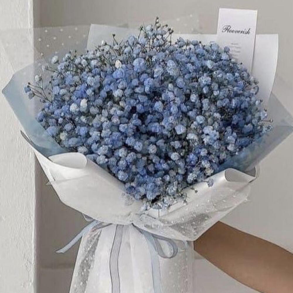 Gypsophila in blue